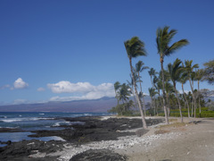 マウナ ラニ ベイ ホテル ＆ バンガローズ１０