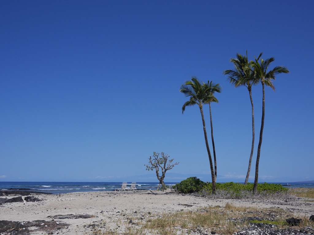 マウナ ラニ ベイ ホテル ＆ バンガローズ１１