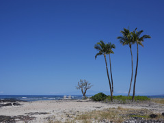 マウナ ラニ ベイ ホテル ＆ バンガローズ１１