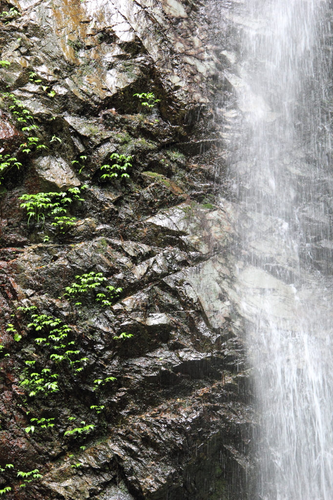 13-05-19_払沢の滝