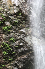 13-05-19_払沢の滝