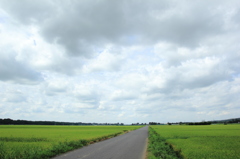 ある夏の日の農道