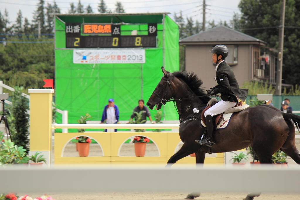 スポーツ祭東京　乗馬 (2)