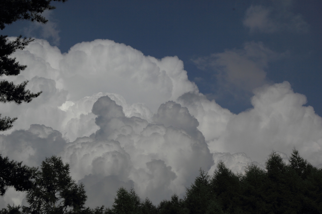 夏雲