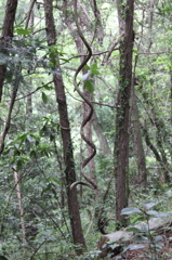 13-06-09_六道山公園_0010