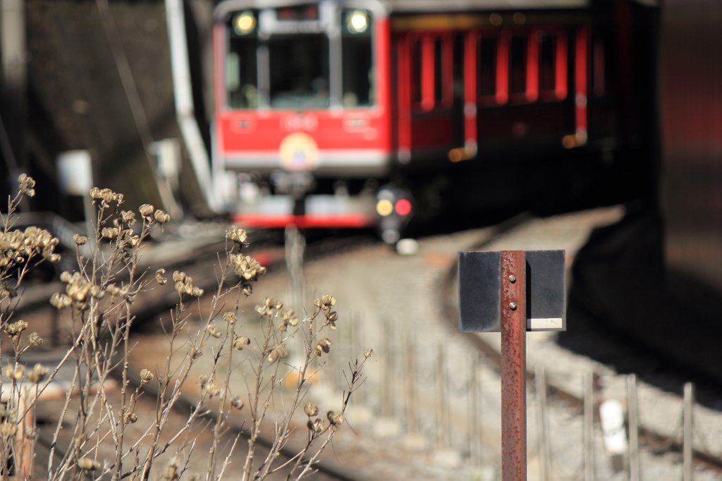 登山鉄道、出発進行！