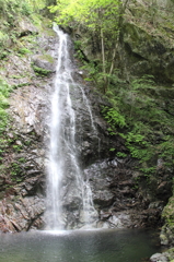 新緑の滝