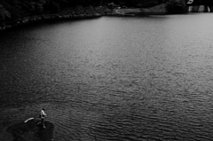静寂の湖