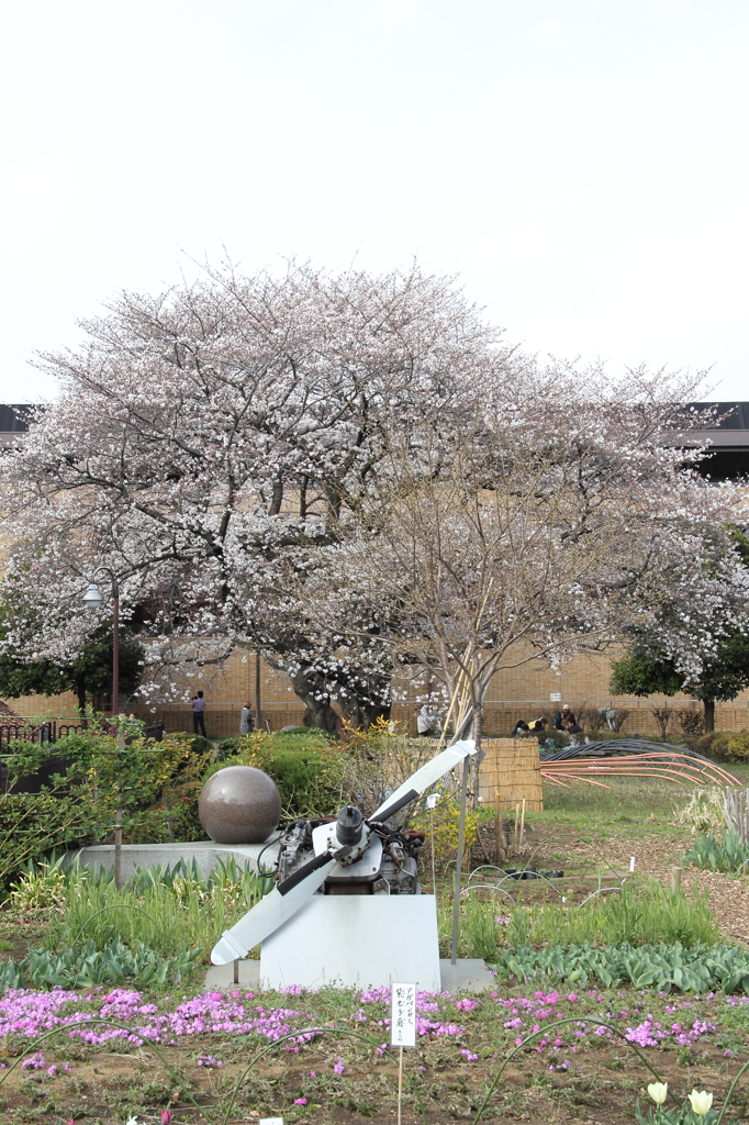 13-03-24_東大和桜ケ丘_0023