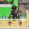 スポーツ祭東京　乗馬 (3)
