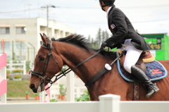 スポーツ祭東京　乗馬 (5)