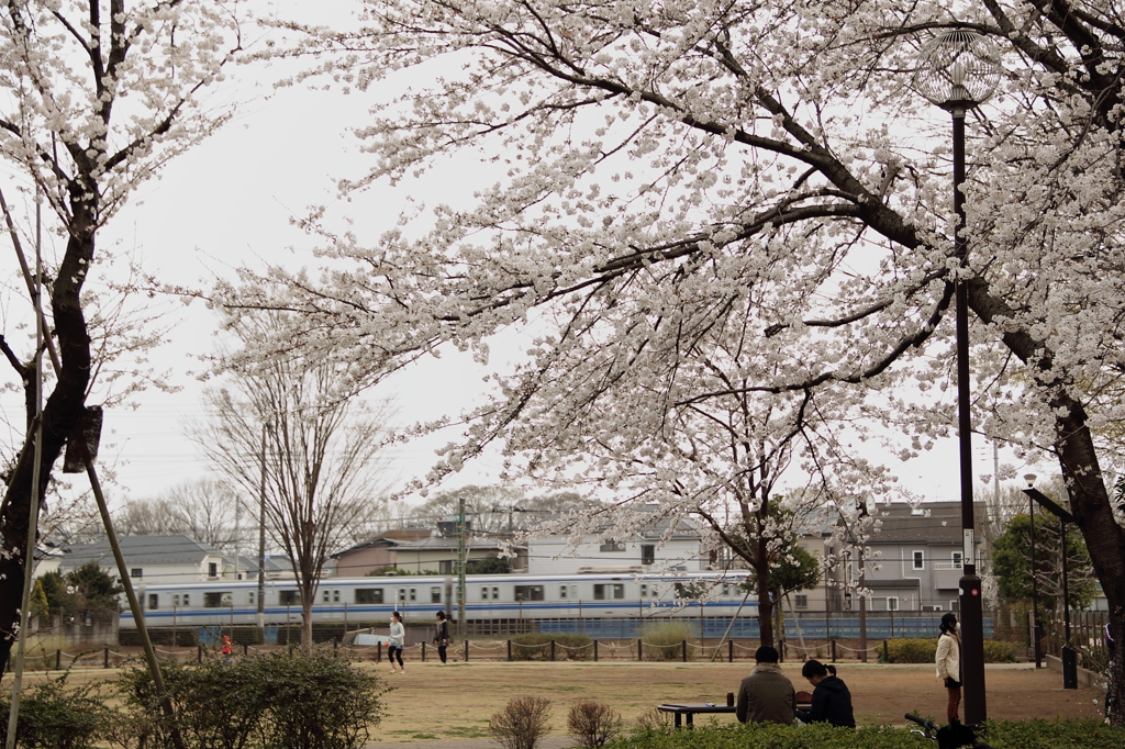 13-03-24_砂川公園_0007