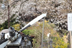 13-03-24_東大和桜ケ丘_0025
