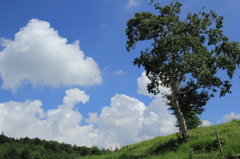 夏空