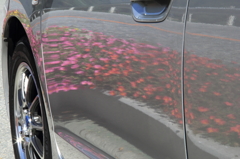ラッピングカー