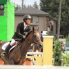 スポーツ祭東京　乗馬