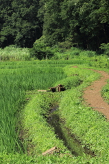 六道山公園_里山民家