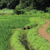 六道山公園_里山民家