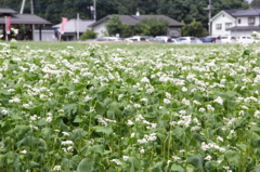 13-06-02_そばの里あらかわ_秩父