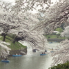 東京・千鳥ヶ淵