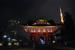 東京タワー④