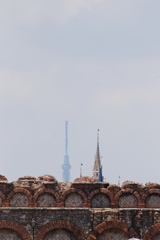 DSC_2912