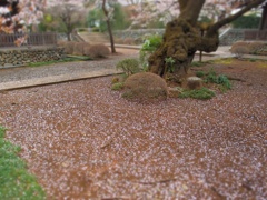 銀河