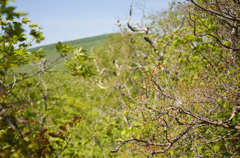 写日記5.23 no.4