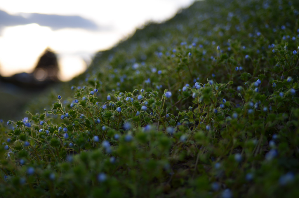 写日記4.08 no.4
