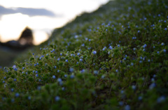 写日記4.08 no.4