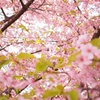 写日記3.31 no.1