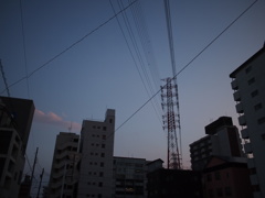 散歩記録3.14 no.2
