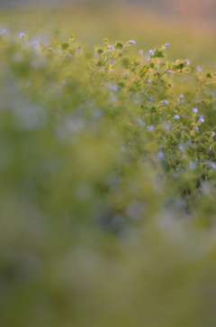 写日記 4.22 no.4