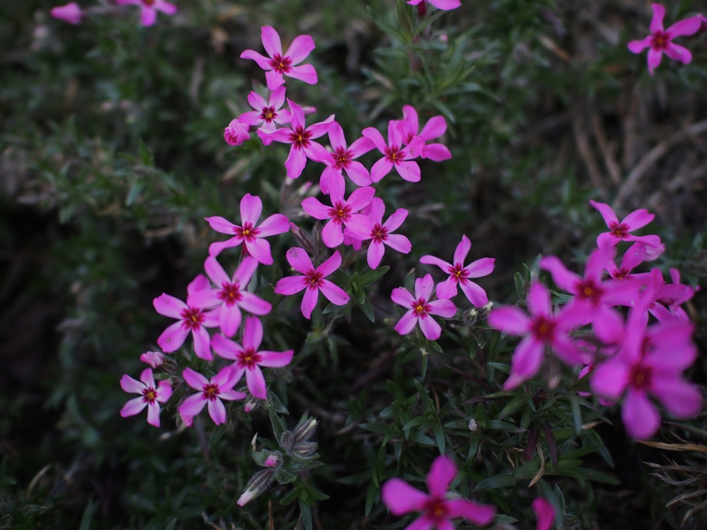 写日記3.31 no.4