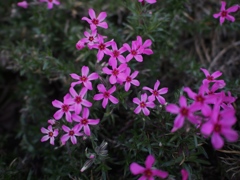 写日記3.31 no.4
