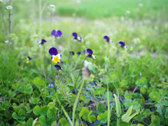 写日記 4.25 no.1