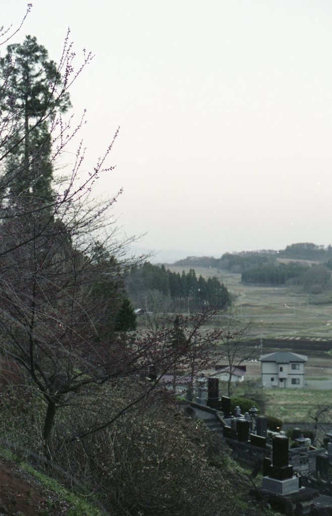 丘の向こうの春を