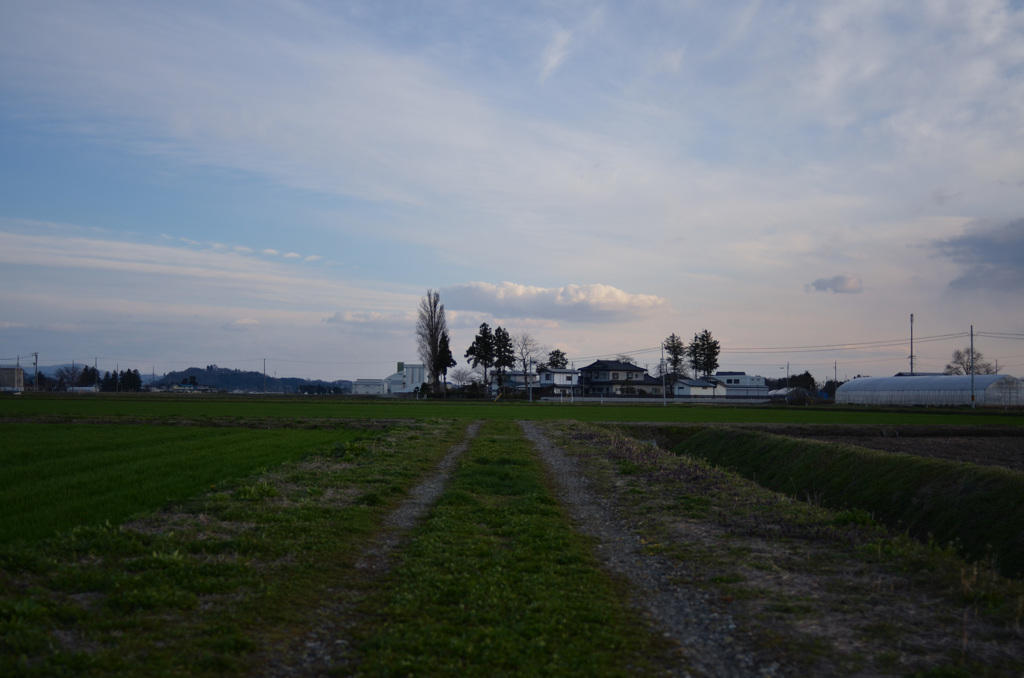 写日記4.08 no.3