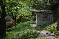 写日記 5.3 no.5