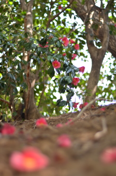 写日記4.2 no.1