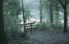 silent shrine