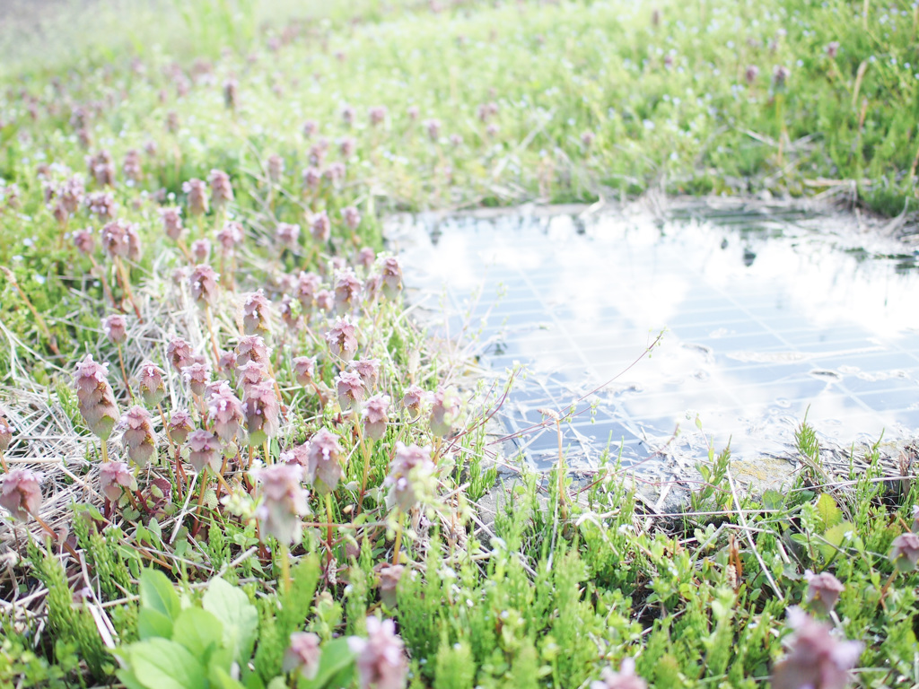 写日記 4.25 no.2