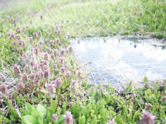 写日記 4.25 no.2