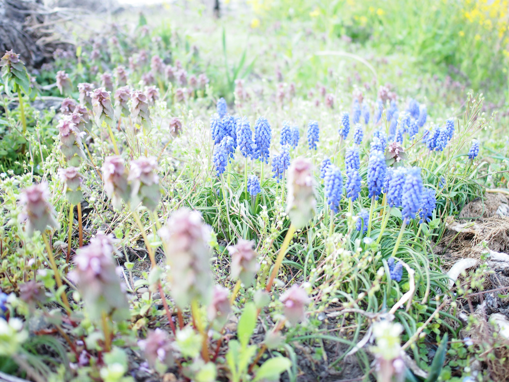 写日記 4.25 no.3