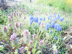 写日記 4.25 no.3