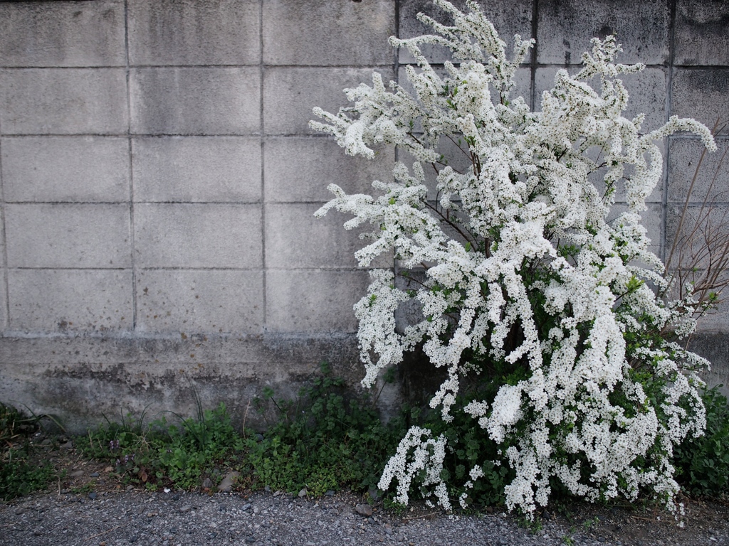 写日記3.31 no.3