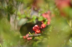 写日記3.25 no.2
