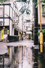 The Smell of Rain