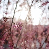 写日記3.31 no.8