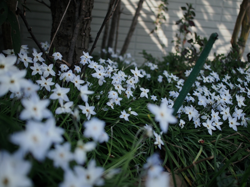 写日記3.31 no.6
